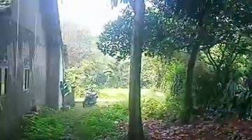 Gambar 2 Dijual tanah kebon nempel jalan desa sudah padat penduduk