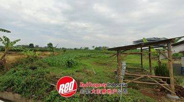 Gambar 2 Dijual Tanah Sertifikat Hak Milik 14.023 m² Boja, Kendal