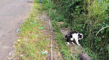 tampak depan tanah murah siap bangun di