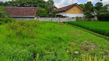 Gambar 2 Tanah Kosong Luas 506 M² Shm Dekat Smkn 11 Sukun