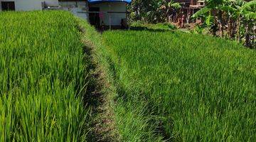 Gambar 2 Tanah sawah siap bangun lokasi sangat strategis dekat BMKG kabupaten Malang 