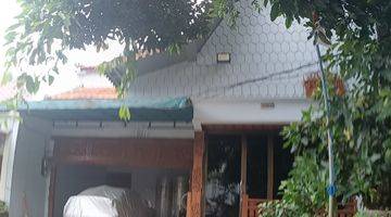 Gambar 5 Rumah Ethnic,murah,lt 488m,jl Maun, Duren Tiga,jkts,cash Only,l-353