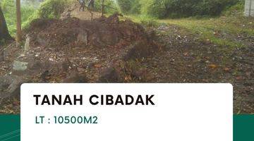 Gambar 4 Disewakan Tanah Atau Tempat Usaha Besar di Cibadak Kab Sukabumi