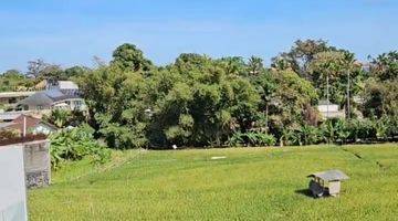 Gambar 2 Villa Eksklusif View Sawah Dekat Echo Beach Dan La Brisa Bali