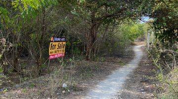 Gambar 5 Tanah Siap Bangun View Gwk di Goa Gong Jimbaran Murah Quite Area 