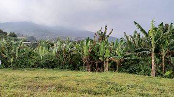 Gambar 1 Tanah di Jual di 20 Ha di Cigombong, Bogor