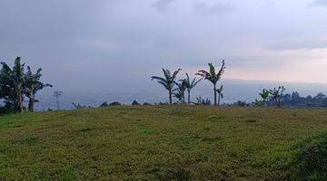 Gambar 4 Tanah di Jual di 20 Ha di Cigombong, Bogor