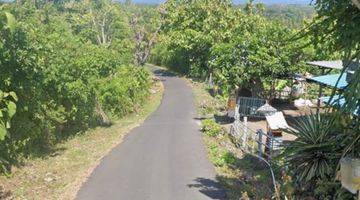 Gambar 3 Land For Sale At Buleleng, Bali