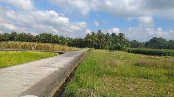 Gambar 4 Dijual Sebidang Tanah Sawah Lokasi dekat Bendungan Telaga Tunjung Tabanan