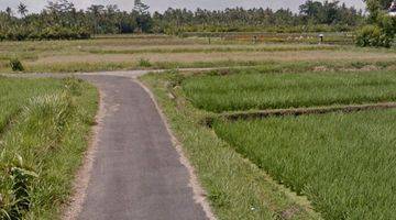 Gambar 2 Dijual Sebidang Tanah Sawah Lokasi dekat Bendungan Telaga Tunjung Tabanan