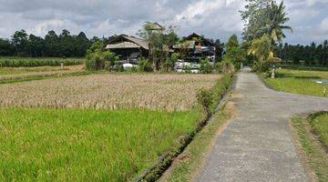 Gambar 1 Dijual Sebidang Tanah Sawah Lokasi dekat Bendungan Telaga Tunjung Tabanan