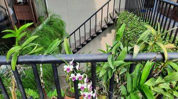 Gambar 5 Jual Rumah Heliconia De Park Bsd City