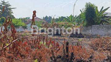 Gambar 3 TANAH PEKARANGAN SIAP BANGUN DI TENGAH KOTA JOMBANG