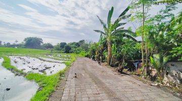 Gambar 2 Dijual Tanah di Jl.pantai Cemagi Badung Bali, Y 02