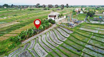 Gambar 3 Dijual Tanah di Jl.pantai Cemagi Badung Bali, Y 02