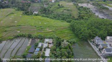 Gambar 4 Dijual Lahan Kecil Dan Cantik Di Jl Veteran Tumbak Bayuh 005