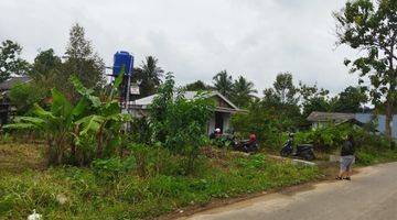 Gambar 1 Disewakan tanah way kandis