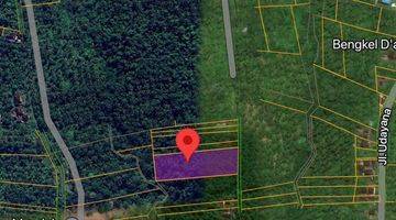 Gambar 4 For Sale Land In Jembrana Bali