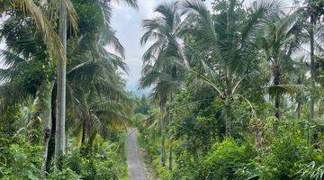 Gambar 2 For Sale Land In Jembrana Bali