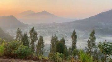 Gambar 3 Tanah Sunrise Point Dekat Jalan Raya Di Pinggan Kintamani Bali