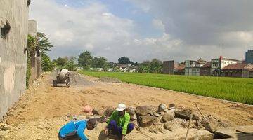 Gambar 3 Ciamik Area Kampus Uad 2, Tanah Murah Di Umbulharjo Kota Jogja Pemandangan Sawah