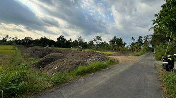 Gambar 2 5 Menit Kampus Uii Pusat Pemandangan Sawah Gunung Merapi Cantik