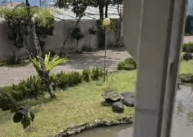 Gambar 3 Dijual Villa Puncak Dekat Taman Bunga Nusantara Bagus