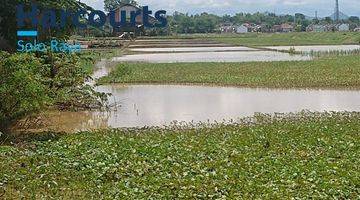 Gambar 5 Tanah sawah zona kuning pinggir jalan raya provinsi 