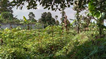 Gambar 3 MURAH!! Tanah view kota Cimahi Cocok Untuk Perkebunan/ Peternakan