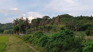 Gambar 3 Jual Tanah Bukit View Laut Lepas di Pengantap Sekotong, Lombok Barat, Ntb