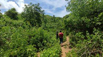 Gambar 3 Jual Tanah View Laut di Sekotong Lombok Barat Ntb