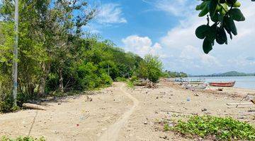 Gambar 2 Jual Murah Nego Tanah Pantai di Teluk Gong Sekotong Ntb 