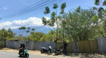 Gambar 2 Dijual Cepat Tanah Pinggir Jalan Raya Soekarno Hatta