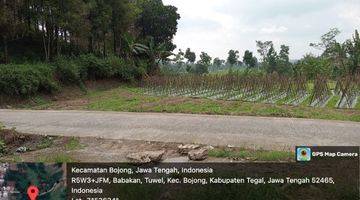 Gambar 5 Tanah Dijual, Tuwel Kec. Bojong, Kab. Tegal (Masjid Al- Muhajirin ke Selatan 500 m)