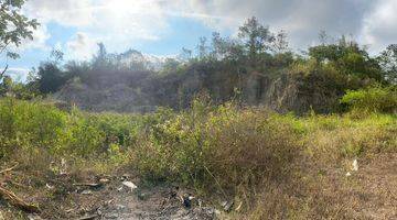 Gambar 5 Tanah Pekarangan di Kedu, Temanggung