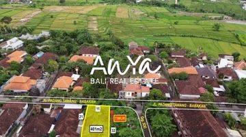 Gambar 5 Dijual Tanah 7,76 Are, Bisa Beli Sebagian Lokasi Pinggir Jalan Utama di Canggu Bali