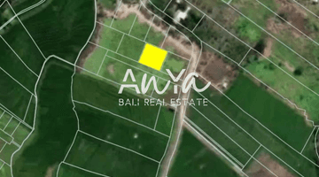 Gambar 2 Tanah di Batubolong Canggu, Badung SHM 360 m²