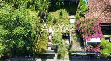 Gambar 2 Tanah di Lodtunduh, Ubud Gianyar 436 m²