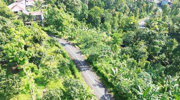 Gambar 3 Tanah Murah Pinggir Jalan View Bagus di Panji Anom