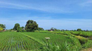 Gambar 3 Dijual Tanah Kebun Dekat Pantai Bungkulan Buleleng