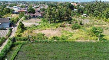 Gambar 4 Dijual Tanah Kebun Dekat Pantai Bungkulan Buleleng