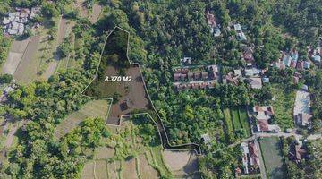 Gambar 3 Dijual Tanah Kebun di Desa Sangsit Buleleng