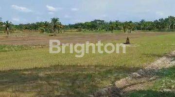 Gambar 1 TANAH 4,9HA DESA KELAMBIR PANTAI LABU PERCUT SEI TUAN medan sumatra utara Lokasi Oke nego