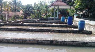 Gambar 1 Dijual Tanah Luas & Kolam ikan Di Subang