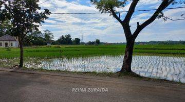 Gambar 2 Tanah SHM Pinggir Jalan di Cariu Bogor