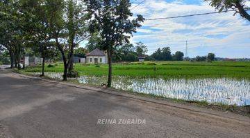 Gambar 1 Tanah SHM Pinggir Jalan di Cariu Bogor