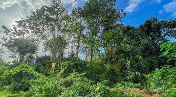 Gambar 2 Residential Zone Land For Sale In Jimbaran, Badung 