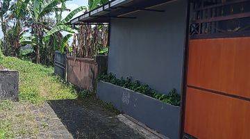 Gambar 3 BUC Dijual Tanah 10are @Gulingan, Mengwi, Bali