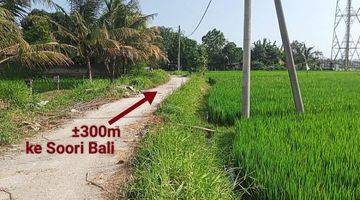 Gambar 5 Dijual tanah siap kavling @Kelating, Tabanan, Bali