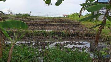 Gambar 3 Dijual Tanah 4,2are Kecil Langka @Kelating, Tabanan, Bali